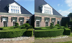 Tuinonderhoud Heerenveen